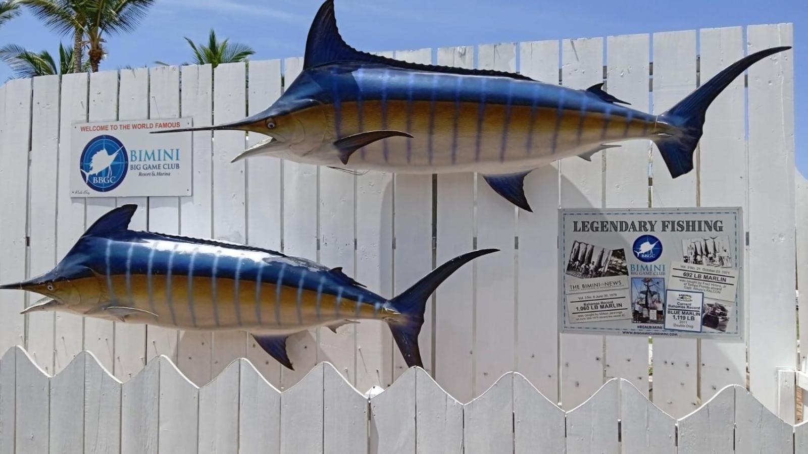 Bimini Big Game Club Resort & Marina Alice Town  Zewnętrze zdjęcie