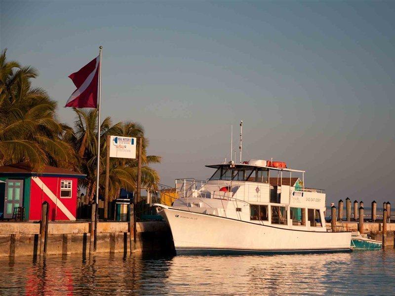 Bimini Big Game Club Resort & Marina Alice Town  Wyposażenia zdjęcie