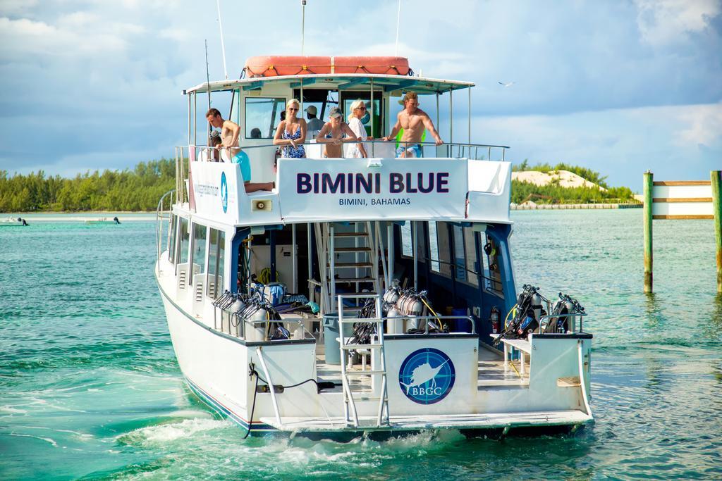 Bimini Big Game Club Resort & Marina Alice Town  Zewnętrze zdjęcie